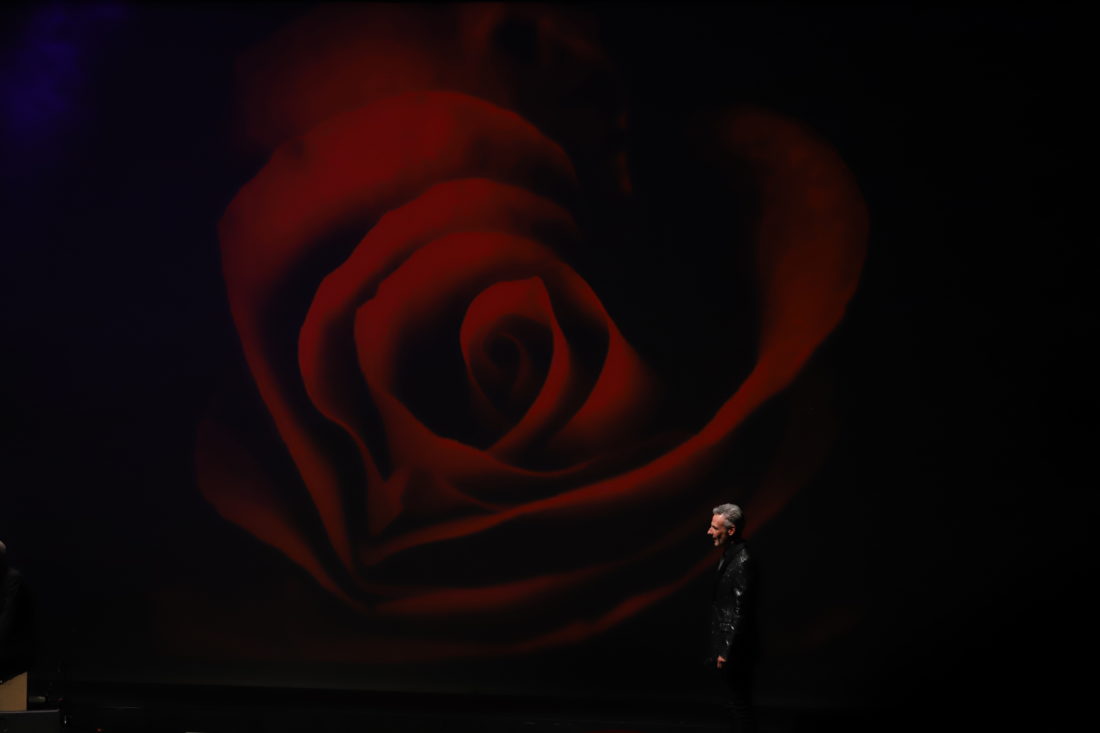 LOVE STORIES AND HAPPY ENDINGS… MOST OF THE TIME !